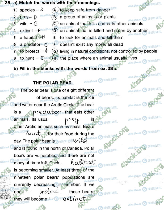 ГДЗ Англійська мова 9 клас сторінка 38